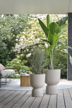 Elho Pure Coupe 41 - Bloempot Voor Binnen & Buiten - Ø 41.3 X H 57.9 Cm - Beige/Balanced Beige -Tuinwinkel 800x1200 62