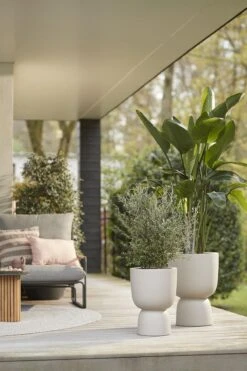 Elho Pure Coupe 41 - Bloempot Voor Binnen & Buiten - Ø 41.3 X H 57.9 Cm - Beige/Balanced Beige -Tuinwinkel 800x1200 64