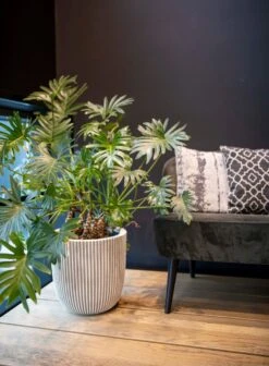 Capi Europe - Vaas Elegant Laag Groove NL - 46x58 - Goud - Voor Binnen En Buiten - KGVGB783 -Tuinwinkel 883x1200 2