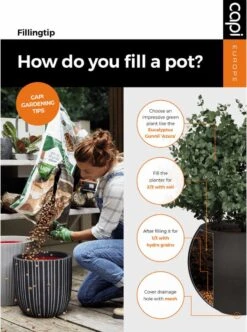 Capi Europe - Vaas Elegant Laag Groove NL - 46x58 - Goud - Voor Binnen En Buiten - KGVGB783 -Tuinwinkel 892x1200 3