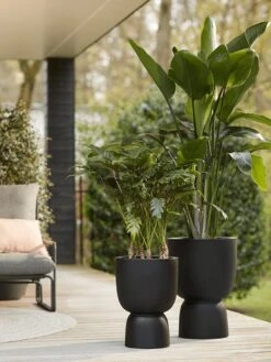 Elho Pure Coupe 41 - Bloempot Voor Binnen & Buiten - Ø 41.3 X H 57.9 Cm - Zwart/Zwart 24 Elho Pure Coupe 41 - Bloempot Voor Binnen & Buiten - Ø 41.3 X H 57.9 Cm - Zwart/Zwart -Tuinwinkel 900x1200 10