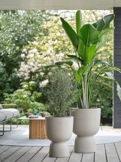 Elho Pure Coupe 35 - Bloempot Voor Binnen & Buiten - Ø 34.9 X H 49.0 Cm - Beige/Balanced Beige 29 Elho Pure Coupe 35 - Bloempot Voor Binnen & Buiten - Ø 34.9 X H 49.0 Cm - Beige/Balanced Beige -Tuinwinkel 900x1200 12