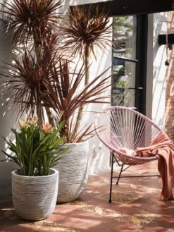 Capi Europe - Bloempot Bol Rib NL - 43x41 - Antraciet - Voor Binnen En Buiten - KOFZ933 -Tuinwinkel 900x1200 13