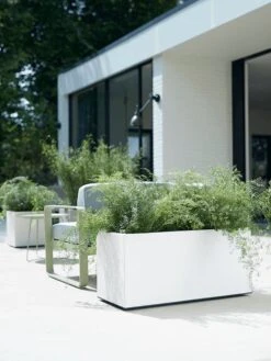 Elho Vivo Matt Finish Lang Wielen 90 - Grote Staande Plantenbak Voor Binnen & Buiten - Gemaakt Van Gereycled Plastic - L 39 X W 88 X H 41 Cm - Zwart 18 Elho Vivo Matt Finish Lang Wielen 90 - Grote Staande Plantenbak Voor Binnen & Buiten - Gemaakt Van Gereycled Plastic - L 39 X W 88 X H 41 Cm - Zwart -Tuinwinkel 900x1200 7