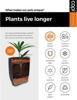 Capi Europe - Bloempot Bol Smooth NL - 35x34 - Zwart - Voor Binnen En Buiten - KBL932 -Tuinwinkel 917x1200