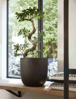 Capi Europe - Bloempot Bol Smooth NL - 35x34 - Zwart - Voor Binnen En Buiten - KBL932 -Tuinwinkel 923x1200