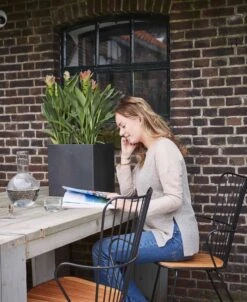 Capi Europe - Bloempot Vierkant Smooth NL - 50x50x50 - Zwart - Voor Binnen En Buiten - KBL904 -Tuinwinkel 983x1200 1